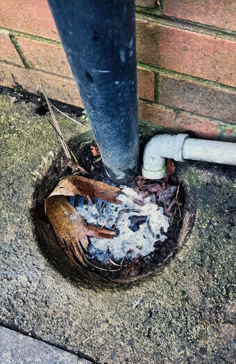 https://blockeddrainsmosmanpark.com.au/uploads/2025/07/blocked-drains-90695.jpg
