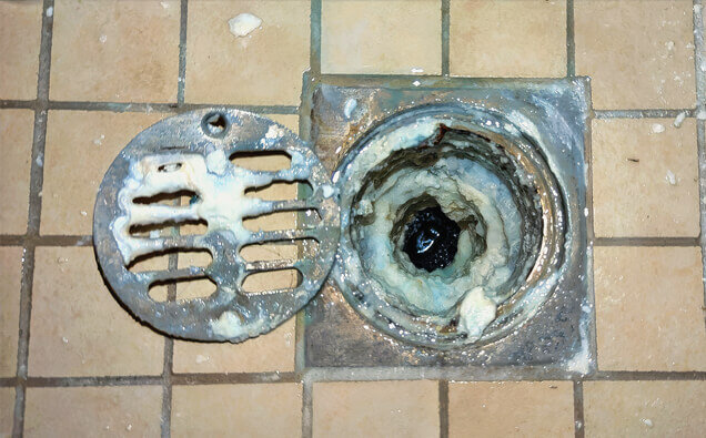 https://blockeddrainsmosmanpark.com.au/uploads/2025/07/blocked-shower-drains-33151.jpg