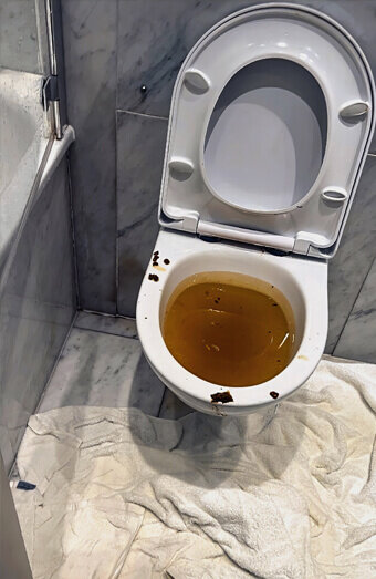 https://blockeddrainsmosmanpark.com.au/uploads/2025/07/blocked-toilet-27793.jpg