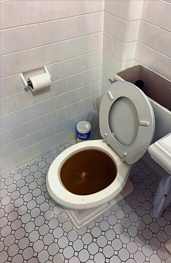 https://blockeddrainsmosmanpark.com.au/uploads/2025/07/blocked-toilet-42230.jpg