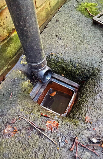 https://blockeddrainsmosmanpark.com.au/uploads/2025/07/hero-blocked-sewers-10934.jpg