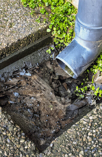 https://blockeddrainsmosmanpark.com.au/uploads/2025/07/hero-blocked-sewers-20143.jpg