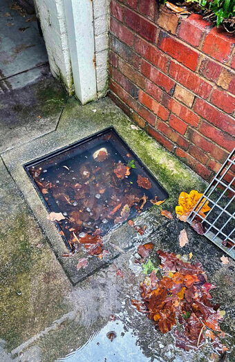 https://blockeddrainsmosmanpark.com.au/uploads/2025/07/stormwater-drains-45331.jpg