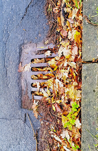 https://blockeddrainsmosmanpark.com.au/uploads/2025/07/stormwater-drains-48051.jpg